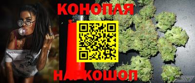 spice Кулебаки