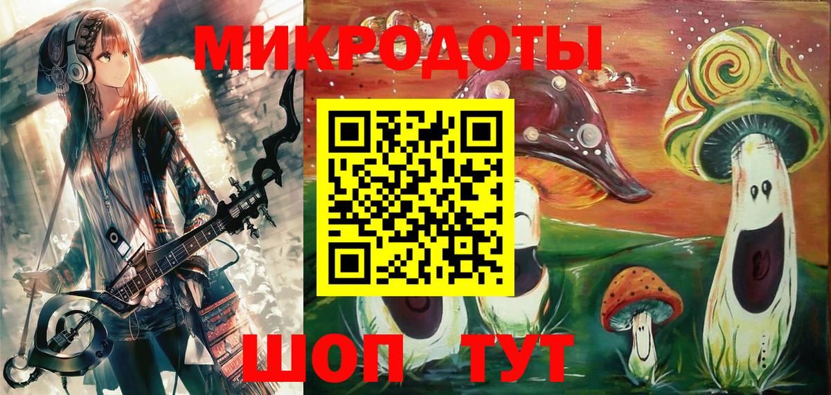 купить наркотики цена  Вход с VPN  Каменка  Псилоцибиновые грибы ЛСД 